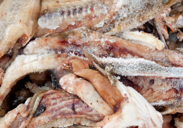 Transporting Animal By-Products in Hot Weather and Why It Demands Care