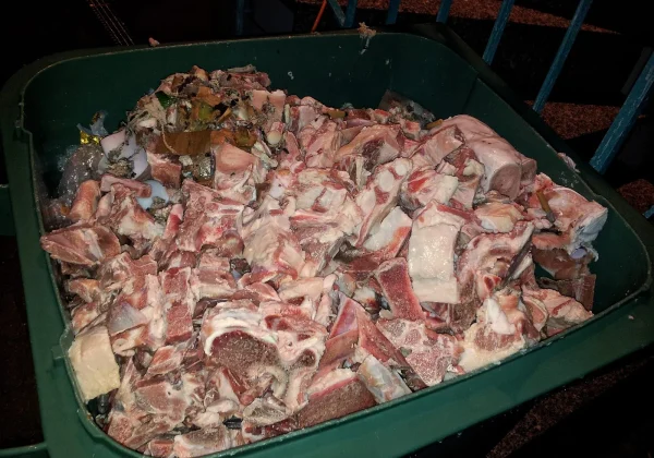 New Premises Food Waste Collection and Getting Compliance Right From Day One