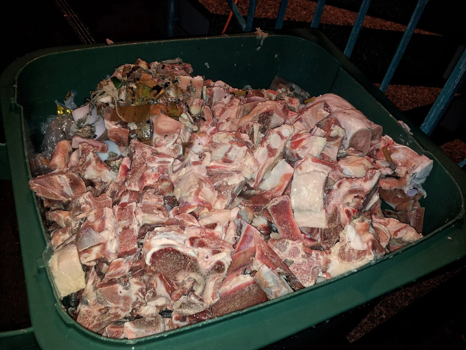 New Premises Food Waste Collection and Getting Compliance Right From Day One